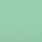Preview: Polarfleece Antipilling Mint